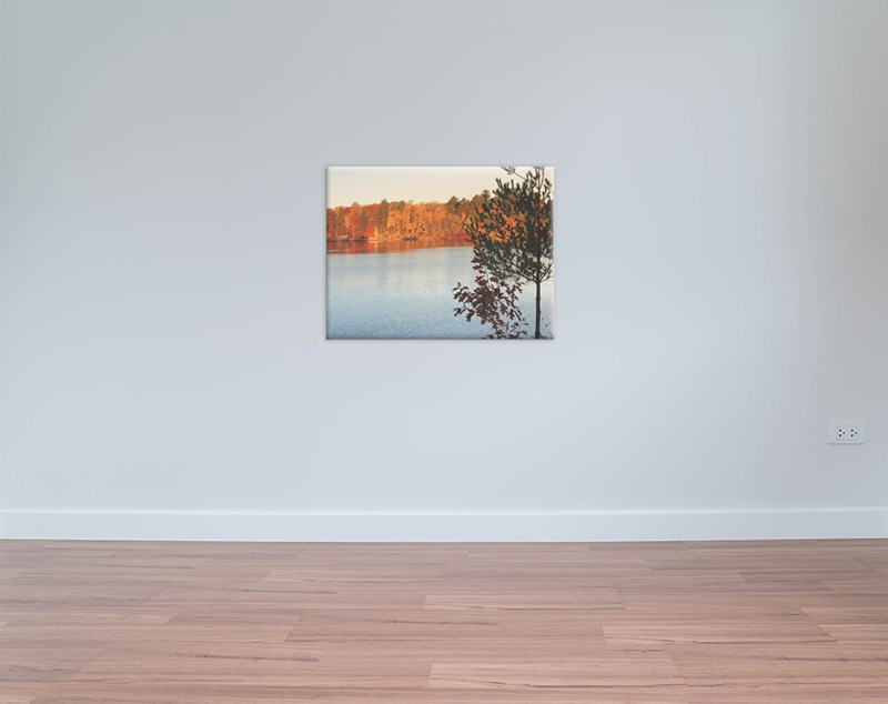 Canvas Print 20x16   Canvas 20x16 Xlarge 